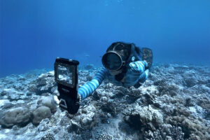 Read more about the article DIVEVOLK Discount Code & Amazing Extra Freebies
