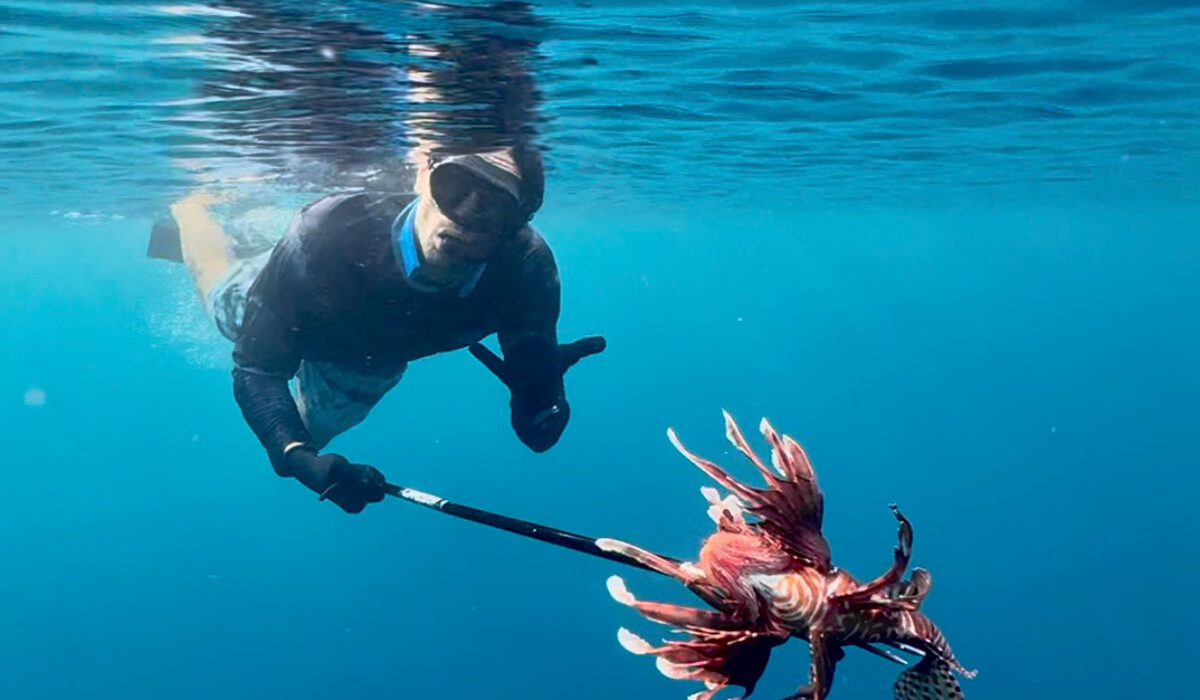 Lionfish Hunt in Dominica: A Sustainable and Fun Adventure