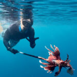 Lionfish Hunt in Dominica: A Sustainable and Fun Adventure