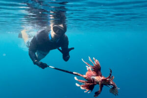 Read more about the article Lionfish Hunt in Dominica: A Sustainable and Fun Adventure