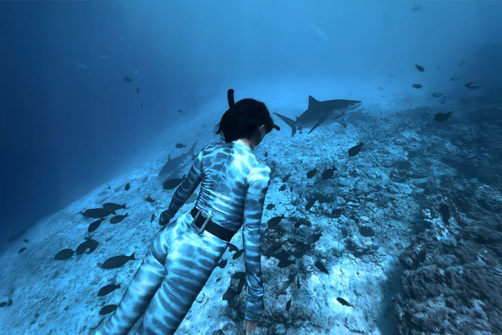 Freedive with Tiger Sharks in Fuvahmulah