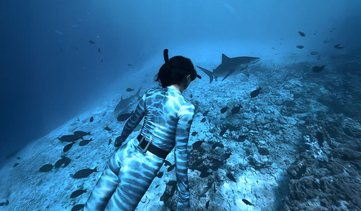 Freedive with Tiger Sharks in Fuvahmulah