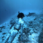 How to Freedive with Tiger Sharks in Fuvahmulah, Maldives (Complete Guide)