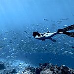How To Color Grade Underwater Footage on iPhone in Less Than 5 Minutes