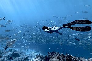 Read more about the article How To Color Grade Underwater Footage on iPhone in Less Than 5 Minutes