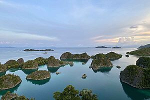 Read more about the article Freediving Raja Ampat: A Liveaboard Journey Through Indonesia’s Four Kings