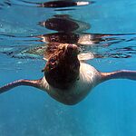 🎄 Christmas Gifts for Ocean Lovers (2025 Guide) – Freediving, Scuba & Snorkeling Gift Ideas