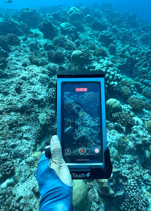 Divevolk SeaTouch4MAX Plus