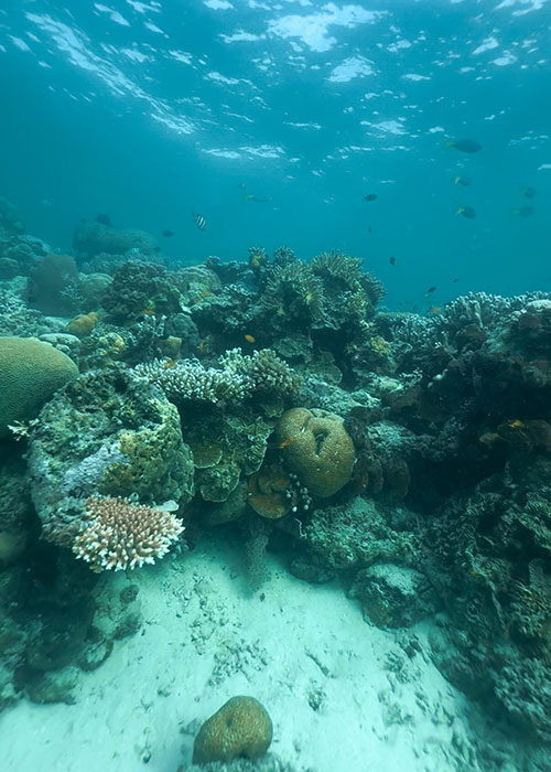 Shot On iPhone 16 Pro Max 0.5x Zoom