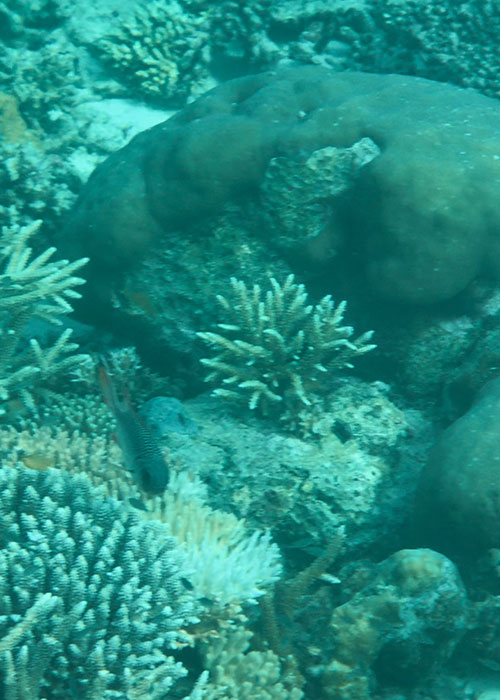 Shot On iPhone 16 Pro Max 3x Zoom