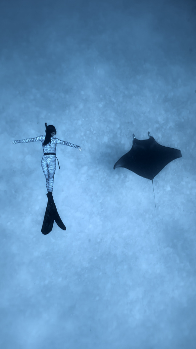 freediving with mantas in the maldives