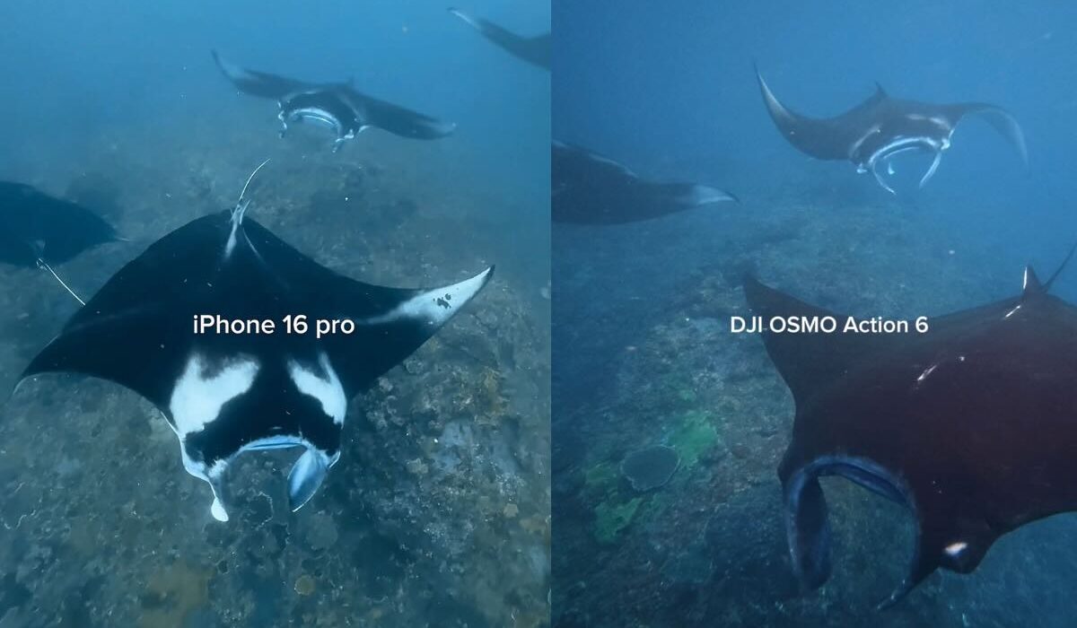 iPhone vs action camera underwater