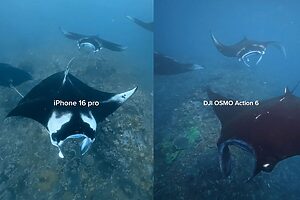 Read more about the article iPhone vs Action Camera Underwater: Which Is Better?
