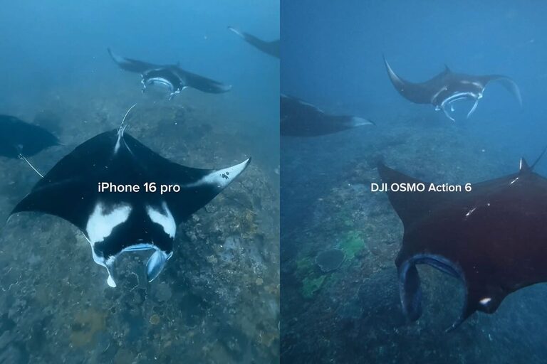 iPhone vs action camera underwater