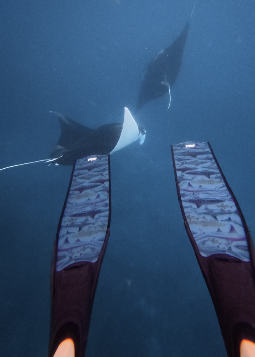 Diver Mon Art THRESHER BLACK FREEDIVING FINS underwater