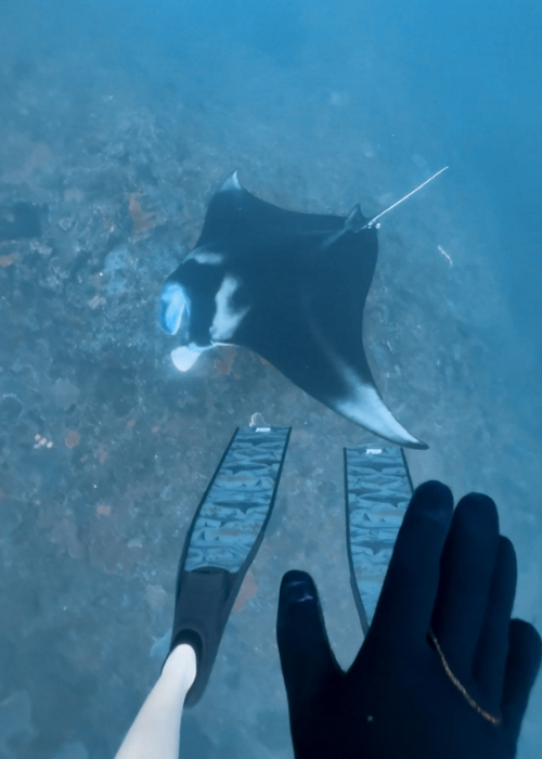iPhone 16 pro Underwater