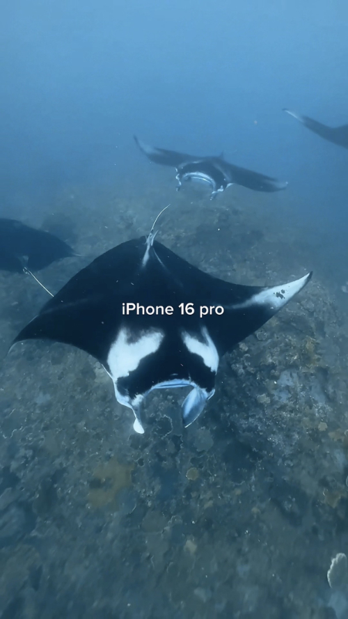 iPhone 16 pro underwater