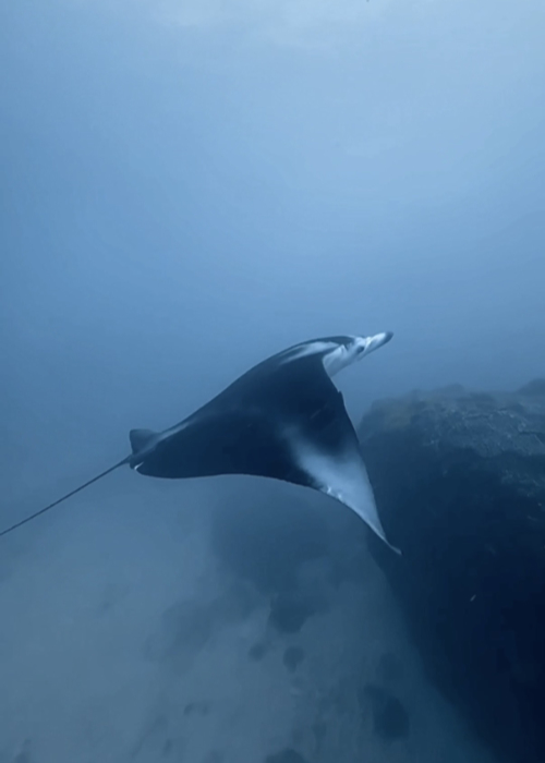 how to film underwater with iphone