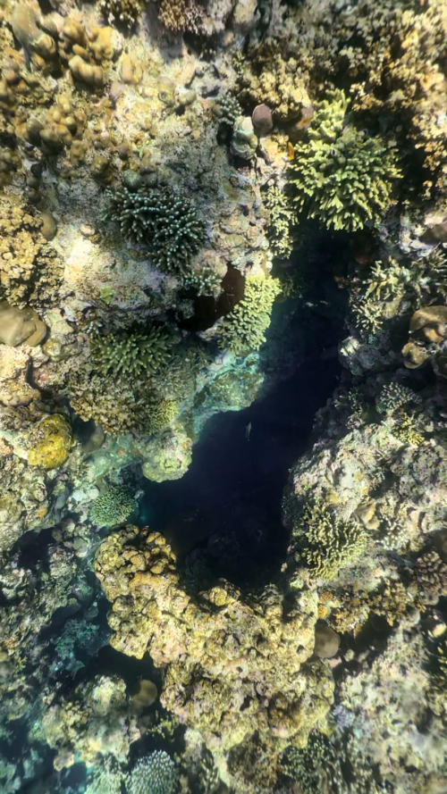 iphone 16 pro underwater